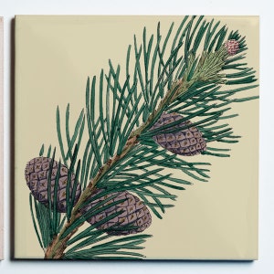 May include: Square ceramic tile featuring a botanical illustration of a pine branch with green needles and purple pine cones. The artwork is set against a cream-colored background, creating a vintage aesthetic. The tile is likely for decorative purposes.