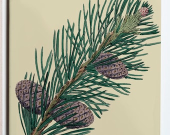 6"x6" Conifer Sprig Trivet with Little Pine Cones 6x6 Ceramic Tile