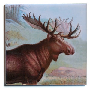 May include: Square tile featuring a detailed illustration of a moose with large antlers. The moose is depicted in shades of brown and red, set against a backdrop of a light blue sky and a hint of a forest. The tile has a glossy finish.