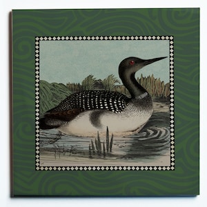 May include: Square decorative tile featuring a vintage illustration of a loon bird in a lake. The bird has black and white speckled feathers, a black head, and a red eye. The image is framed with a black and white diamond pattern and a green border.