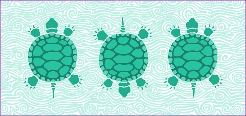 35x15 Turtle Runner