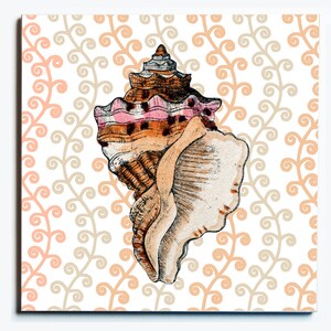 May include: A detailed illustration of a seashell with a textured surface, featuring shades of brown, pink, and cream. The seashell is set against a white background with a repeating pattern of peach and tan swirls, creating a coastal theme.