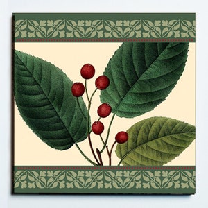 May include: Botanical print featuring dark green leaves and bright red berries against a cream background. The image has a decorative border with a green floral pattern and a red dotted line. The artwork evokes a vintage, natural aesthetic.