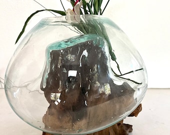 GLASS VASE molten on a wood root .Hand blown, reclaimed glass, gorgeous! Size Large