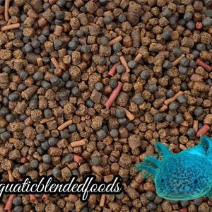 May include: Close-up of axolotl food pellets in various shapes and colors, including brown, black, and red. A blue axolotl is in the bottom right corner. The text "Aquaticblendedfoods" is in the bottom left corner.