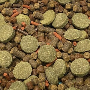May include: Close-up of a mix of pet food pellets. The image shows a variety of shapes and colors, including round, flat, and cylindrical pieces. The colors range from green and brown to orange, creating a textured and varied appearance.