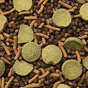 May include: Close-up of pet food, featuring a mix of brown, green, and tan shapes. The image shows round, disc-shaped pieces, small cylindrical pieces, and irregular shapes, all in a variety of textures.