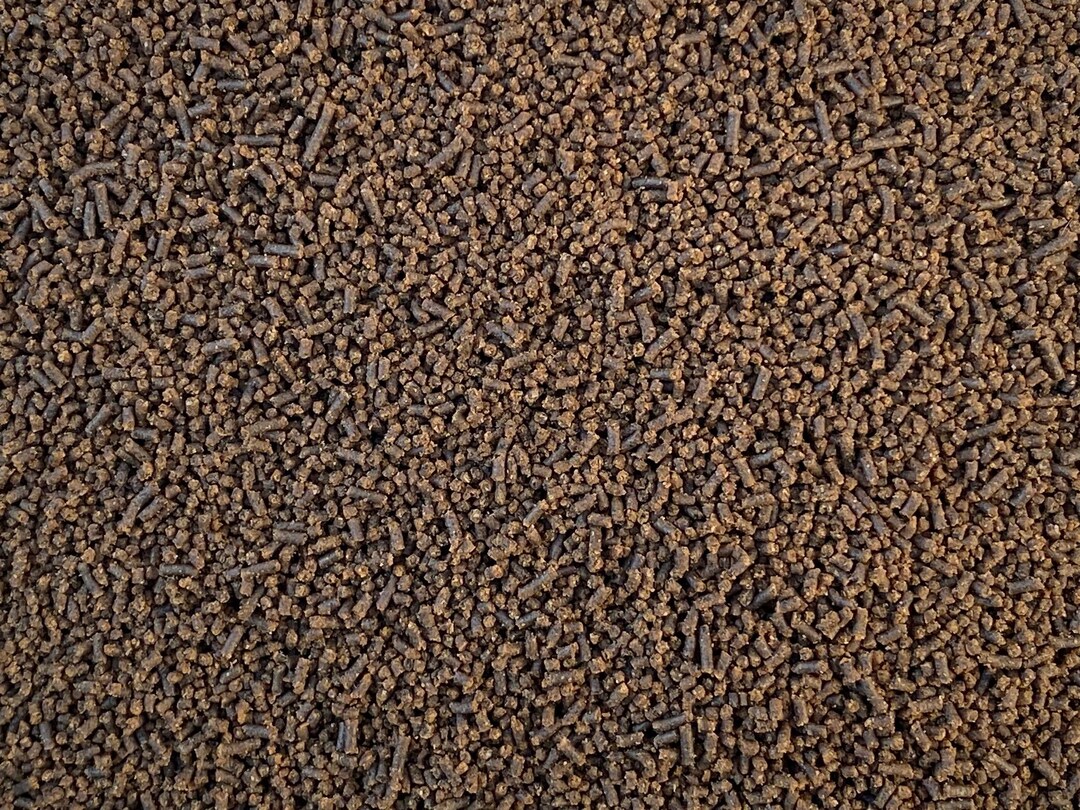 Little Fish Bit Ultra Soft Bits 1.2mm & 1.0mm Mix Tropical Fish Baby Axolotls Aquatic ...