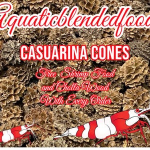 May include: Image of Casuarina Cones for aquatic use, with the text "Aquaticblendedfoods" and "CASUARINA CONES". The image also includes a red and white shrimp illustration and text that reads "Free Shrimp Food and Cholla Wood With Every Order".