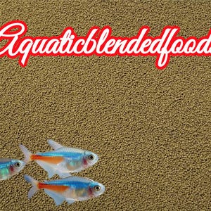 May include: The image features three small, colorful fish with blue, orange, and red accents. The fish are swimming against a textured, brown background. Above the fish, the text "Aquaticblendedfoods" is written in a cursive font with a red outline.