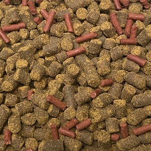 May include: Close-up of a pile of animal feed pellets. The pellets are a mix of brown and tan, with some cylindrical red pieces scattered throughout. The texture appears granular and slightly rough, suggesting a dry food product.