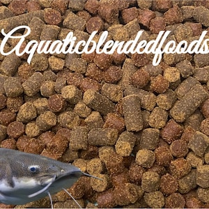 May include: Close-up of fish food pellets in shades of brown and tan, with the text "Aquaticblendedfoods" in white script. A catfish is visible in the lower left corner, with a gray body and white whiskers. The image is a close-up of the food.
