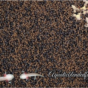 May include: Close-up of axolotl food pellets with a mix of brown and black colors. Several small, white axolotls are scattered throughout the image. The text "Aquaticblendedfoods" is written in a cursive font.