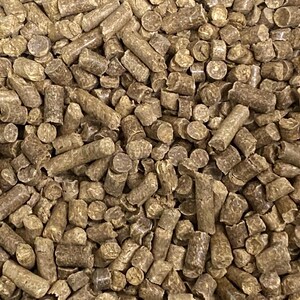 Organic Barley Shrimp Food Pellets: Freshwater Shrimp Kit w/ Free Cholla Wood