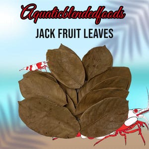 May include: A pile of brown jack fruit leaves with the text "JACK FRUIT LEAVES" and the logo "Aquaticblendedfoods". Two red and white shrimp are in the image. The background is a light blue and white gradient.