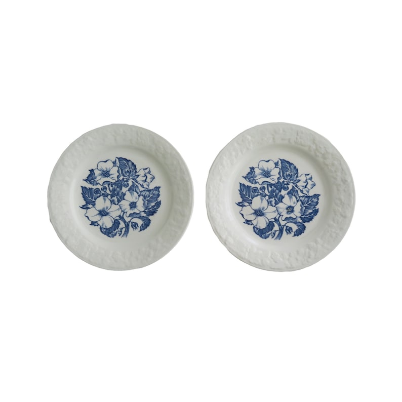 Vintage Wild Rose White and Blue Flower China Small Bread and Butter Dessert Plate Set of 2