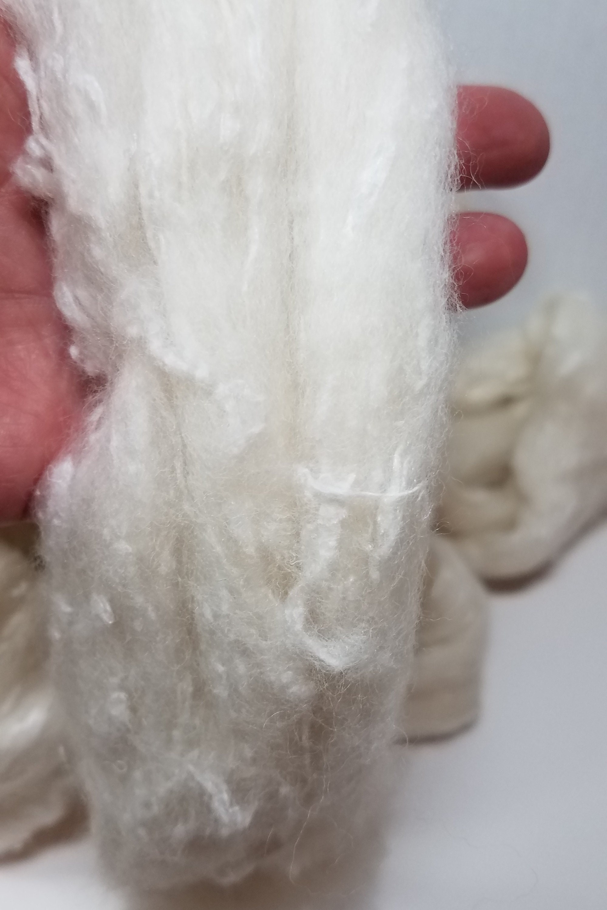 Merino Silk Slub 70/30 Roving White Chocolate - Etsy