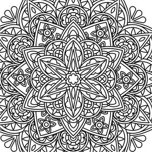 Mandala Coloring Book, Mandala Coloring Pages, PDF, 25 Coloring Pages, Magnificent Mandala, image 7