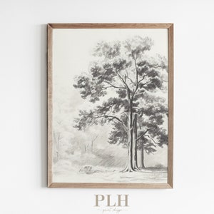 Tree Sketch Art Print | Wall Art | Black and White | Sketch | Unframed Art | Aesthetic Decor | Vintage Sketch | Wall Print | Vintage Art