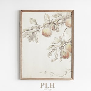 Peach Art Print | Vintage Drawing | Botanical Wall Art | Muted Art Print | Wall Art | Unframed Art Print | Home Decor | Antique Art