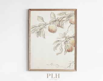 Peach Art Print | Vintage Drawing | Botanical Wall Art | Muted Art Print | Wall Art | Unframed Art Print | Home Decor | Antique Art