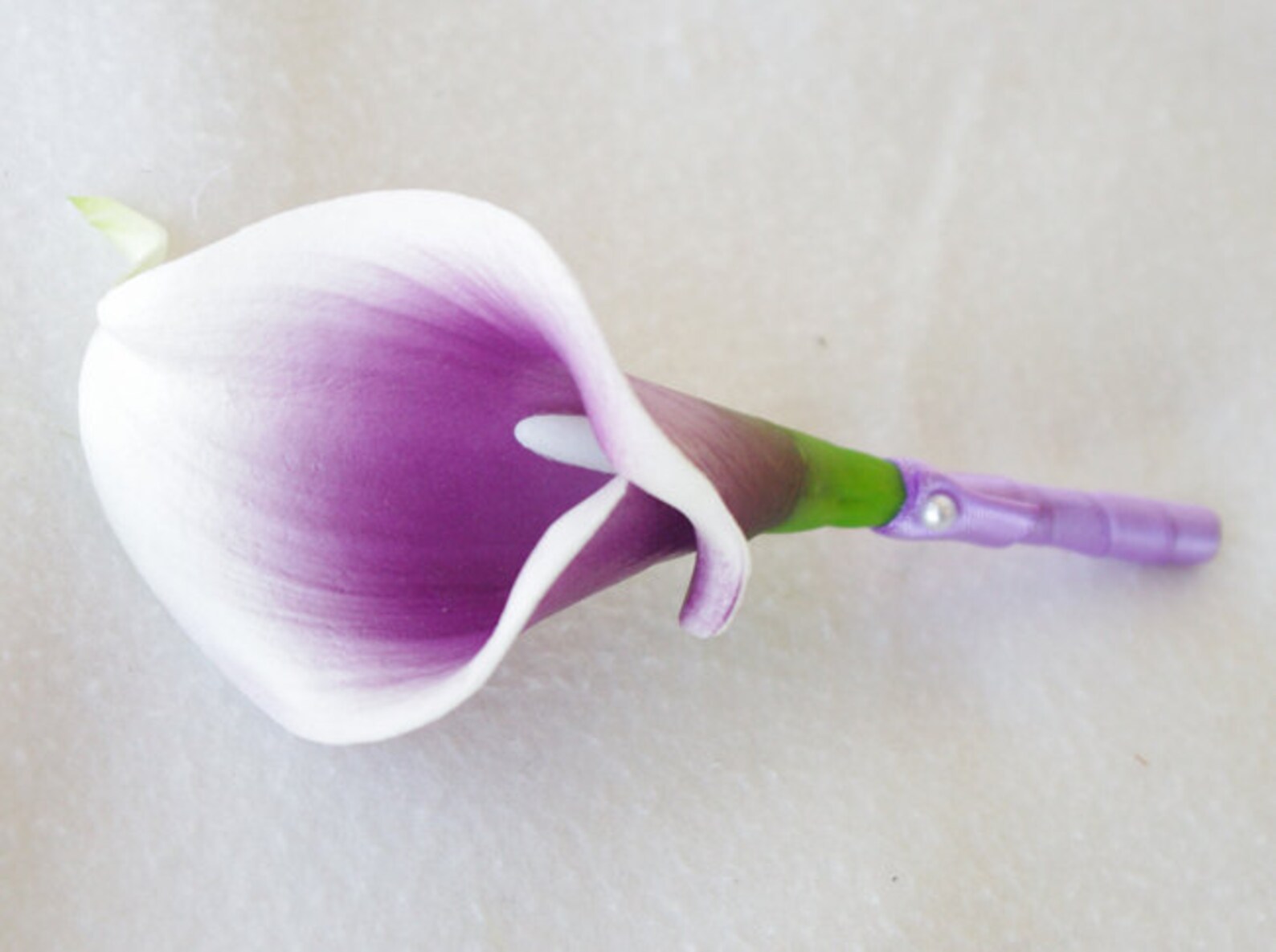 калла каптейн вентура. луковицы каллы недорого. калла (zantedeschia) captain ventura. луковицы каллы недорого. луковицы каллы недорого.