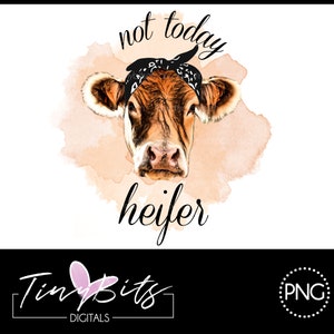 May include: A brown and white cow with a black bandana on its head. The cow is looking at the camera with a serious expression. The background is a watercolor wash of orange and pink. The text "not today heifer" is written in black above the cow.