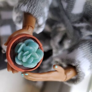 1/6 Scale Potted Succulent