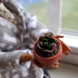 Polymer clay Succulent