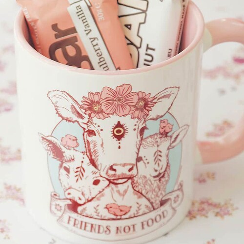 Friends not food Mug, animal liberation, Vegan Gift,Vegetarian Mug Vegetarian Gift Funny Vegan Mug - vegan mug, ceramic coffee cup