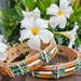 see more listings in the Dog collar section