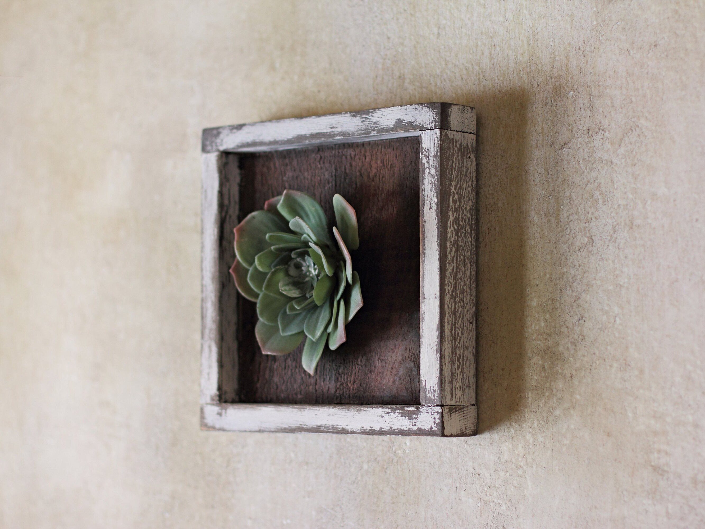 Succulent Shadowbox Rustic Home Decor Wall Planter Etsy