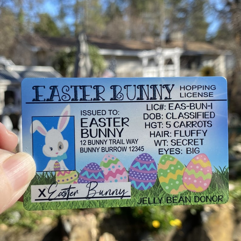 Easter Bunny Drivers License Fun Easter Gifts for Kids Etsy