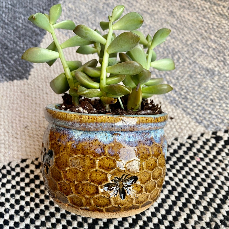 Honeycomb Bee Succulent Planter: Handmade Pottery, Mustard & Seafoam