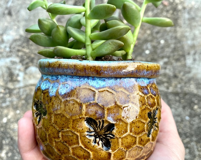 Honeycomb Bee Succulent Planter: Handmade Pottery, Mustard & Seafoam