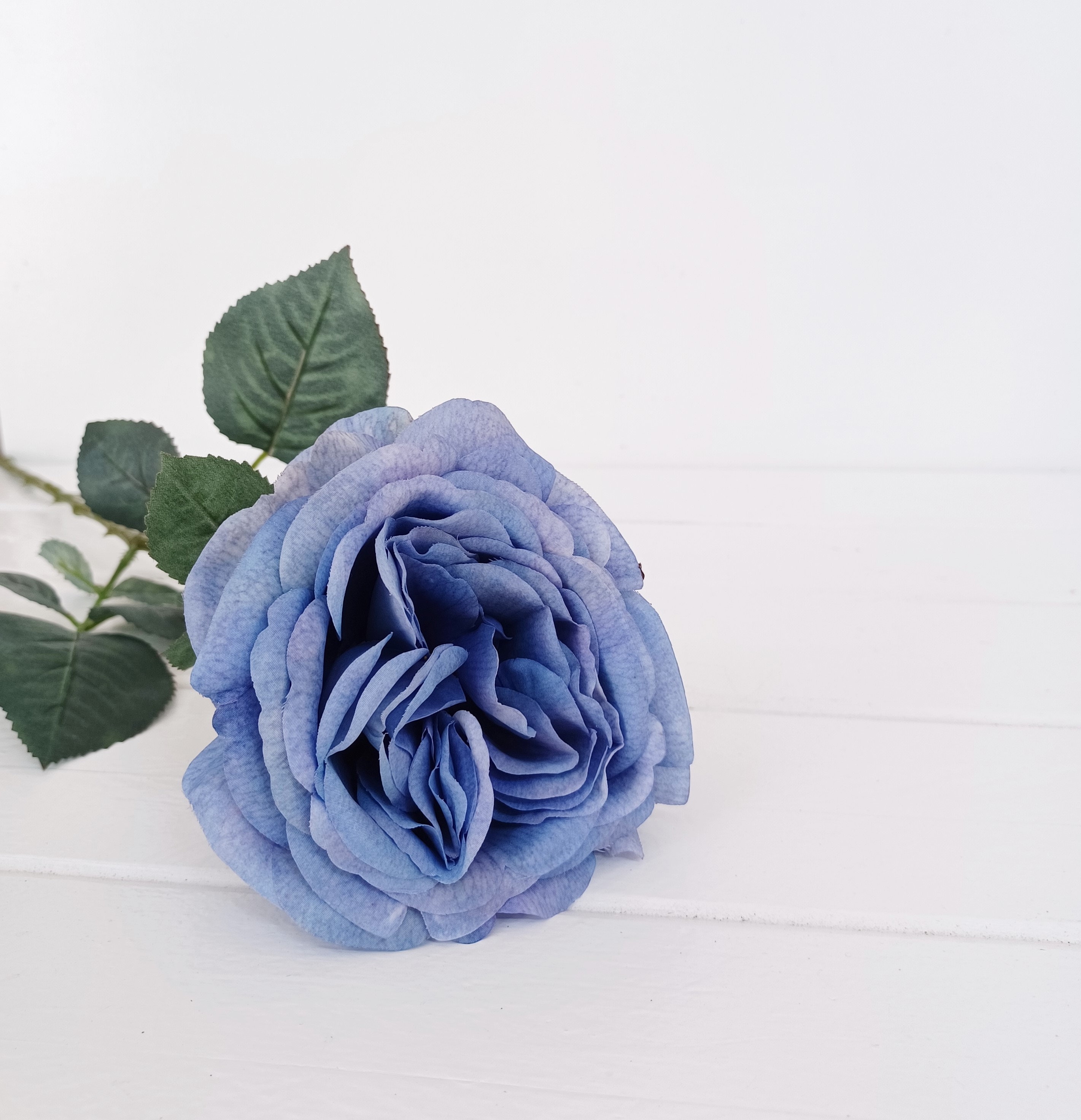 Society6 ケース Expansion Blue rose flower il_fullxfull.4561511137_fz4f.jpg