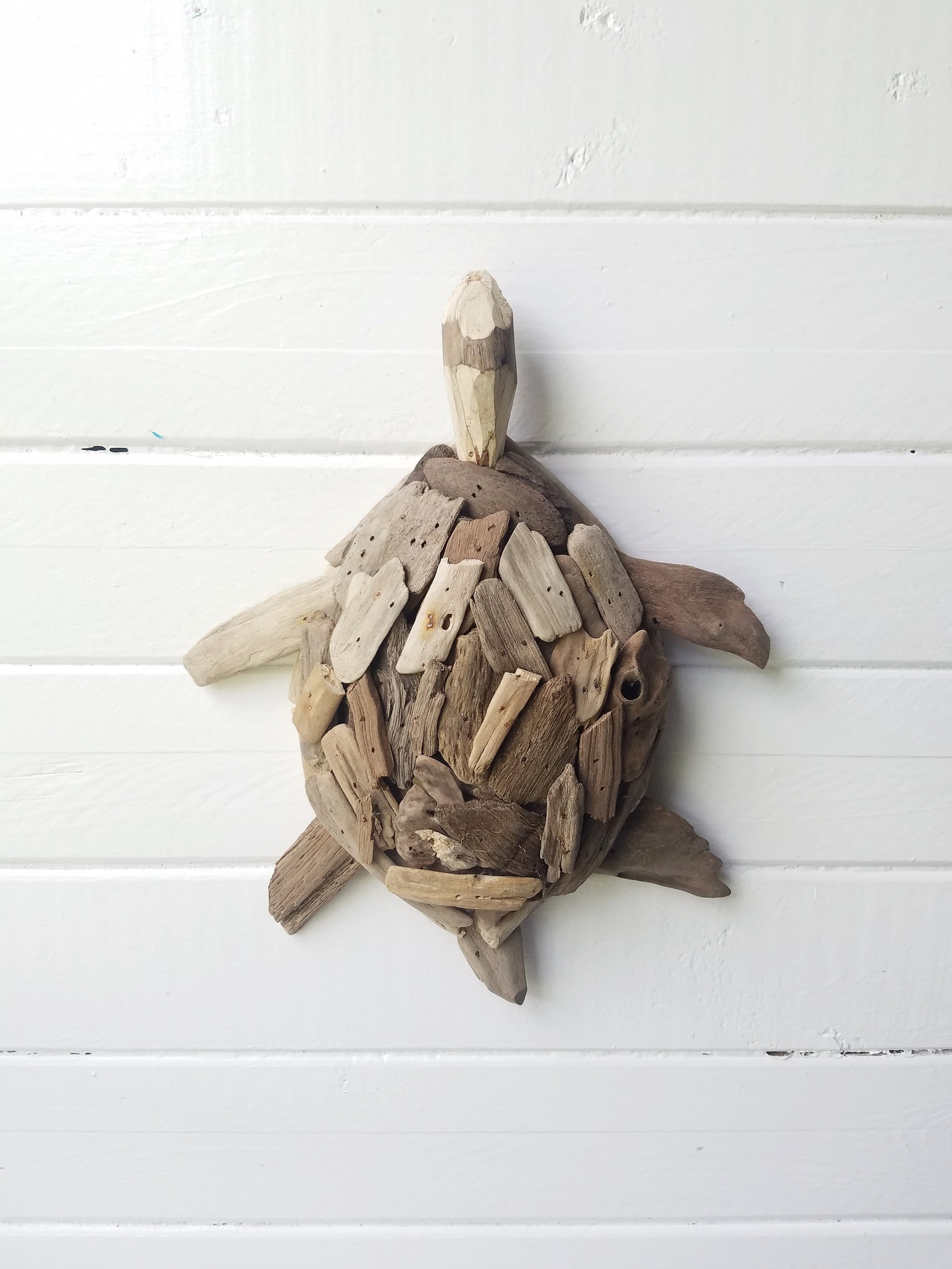 Driftwood Turtle Wall Decor Beach Wall Decor Turtle Decor Etsy