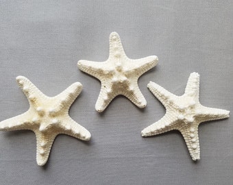 Small Knobby Starfish, White Knobby Starfish, Mud starfish, DIY Beach Decor, Coastal Decor, Beach Decor Supplies, Starfish Decor