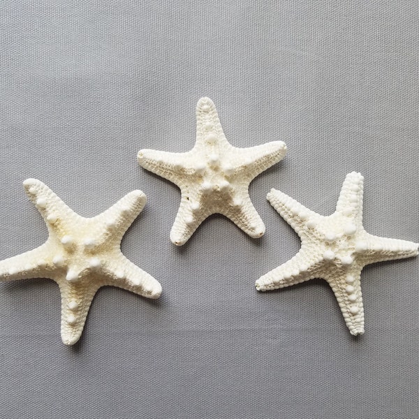 Small Knobby Starfish, White Knobby Starfish, Mud starfish, DIY Beach Decor, Coastal Decor, Beach Decor Supplies, Starfish Decor