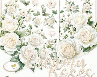 Rose color crema acquerellate, ritagli di precisione: immagini floreali per scrapbooking (download digitale)