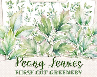 Fussy cut greenery, Printable peony leaves for junk journal and cards, JPG digital download