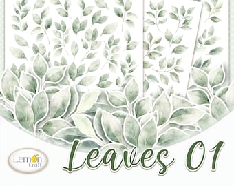 Saliegroene aquarelbladeren: kieskeurige plakboekafbeeldingen (digitale download)