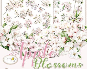 Clipart appelbloesem: aquarel bloemen kieskeurig gesneden afbeeldingen (digitale download)
