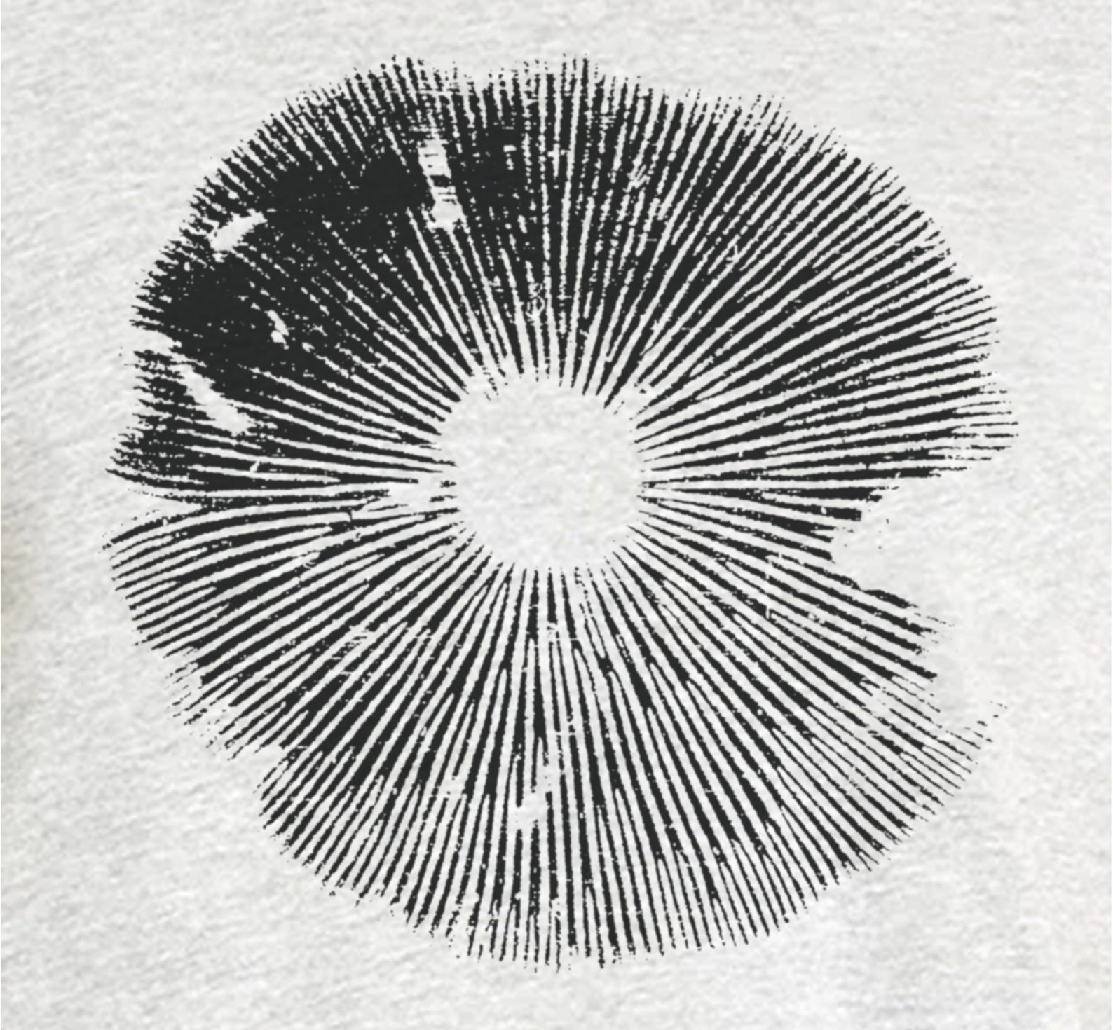 psilocybe spore print psilocybe spore print