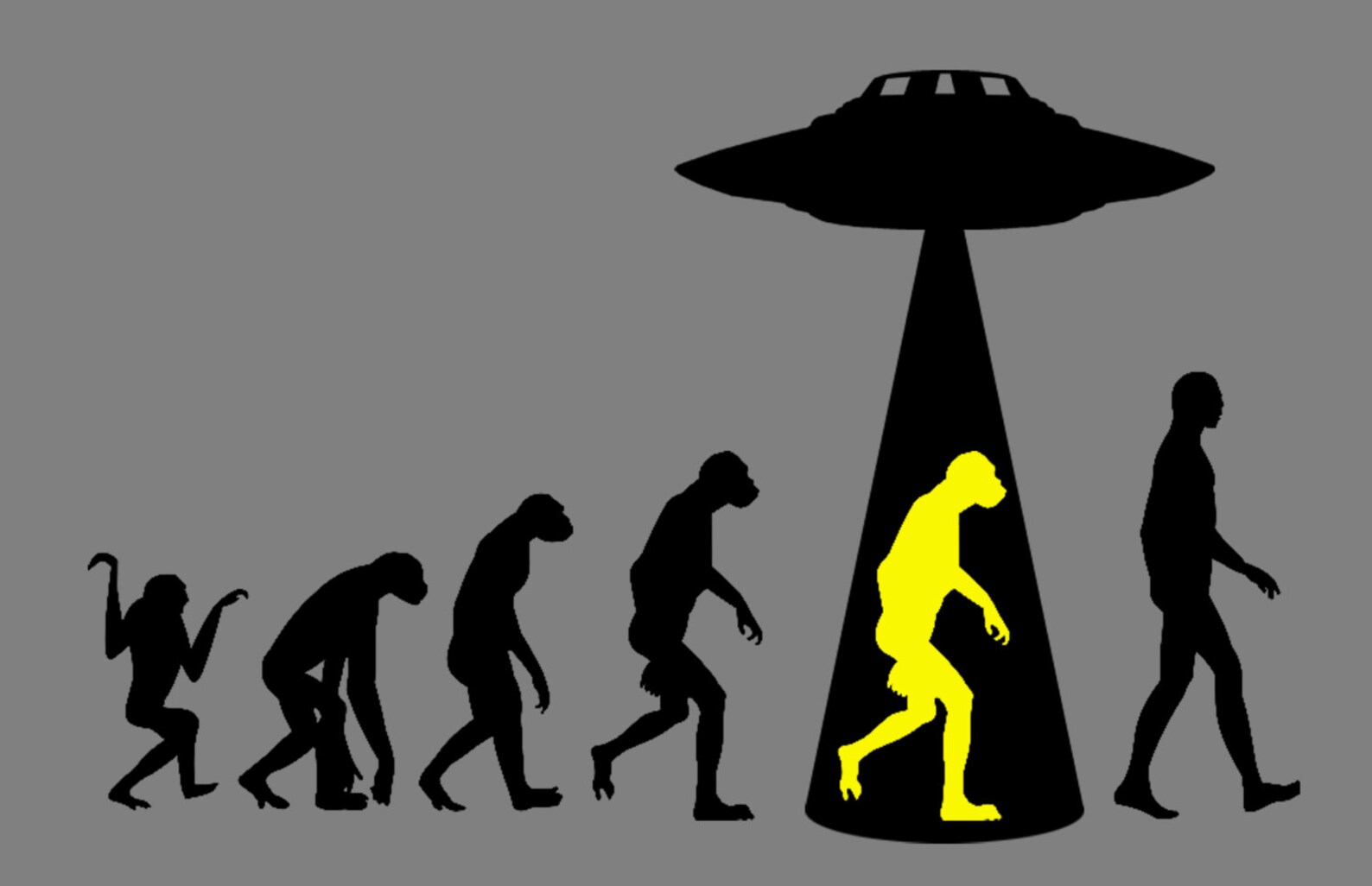 Ladies' T Shirt: Theory of Human Evolution - Etsy