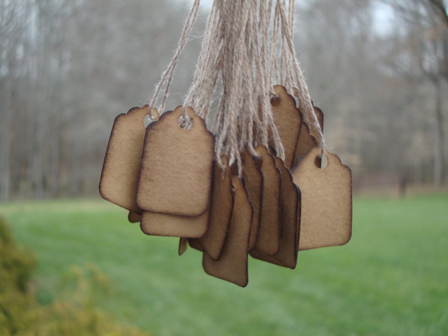 25 Stained Scalloped Hang Tags 3/4 x 1 3/32 Etsy