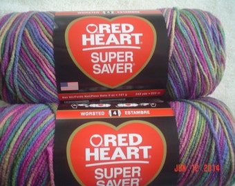 3 Skeins of Red Heart Super Saver in Artists Print