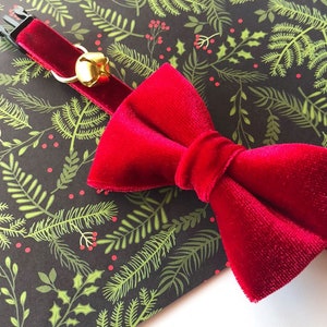 Collar navideño de terciopelo para gato con pajarita - &quot;Terciopelo - Rojo Granate&quot; - Collar navideño de terciopelo para gato + pajarita a juego (desmontable) / Gato, gatito, perro pequeño
