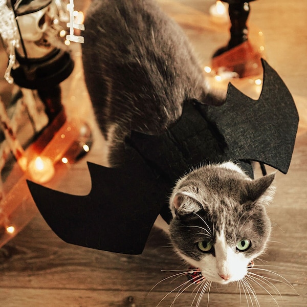 Traje de ala de murciélago para gato / Halloween Photo Prop para mascota / Correas ajustables / Traje de Halloween de gato / Se adapta a gatos, gatitos + perros pequeños