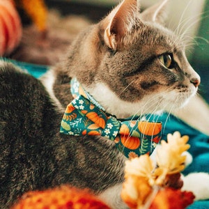 Puede incluir: Un gato atigrado gris con una pajarita azul turquesa con un estampado otoñal de calabazas, hojas y flores. El gato está tumbado en un lecho de follaje otoñal naranja y marrón.